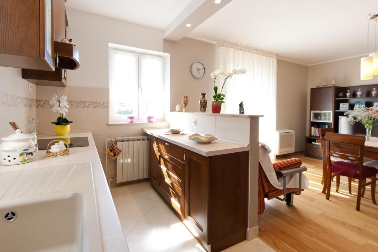 Apartments Silvia بوريتش المظهر الخارجي الصورة